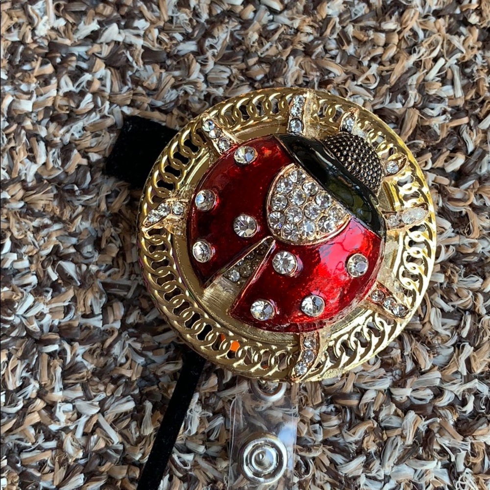Pretty Ladybug 🐞 badge pull - Picture 5 of 7